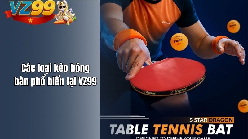 Các loại kèo bóng bàn phổ biến tại VZ99