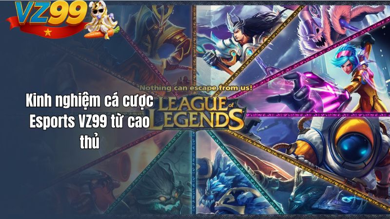 Kinh nghiệm cá cược Esports VZ99 từ cao thủ